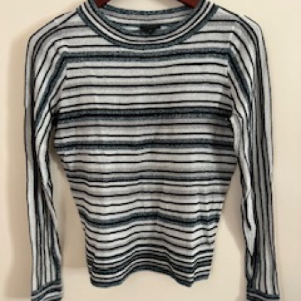 Ann Taylor Factory Silver Metallic Thread Striped LS Top SMALL